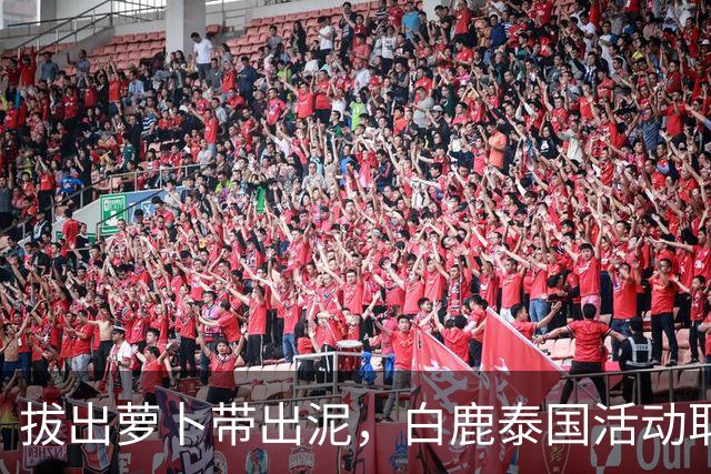 拔出萝卜带出泥，白鹿泰国活动取消后，更多细节被扒 赴泰仅开胃